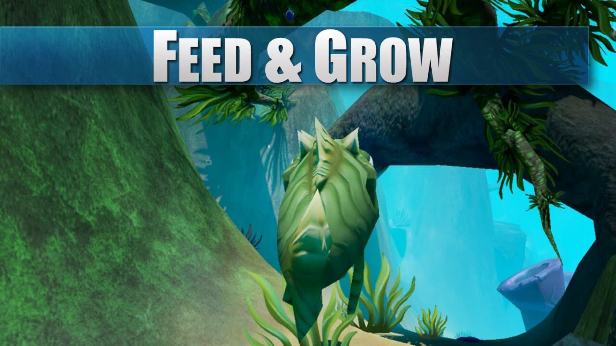 free download fish feed and grow