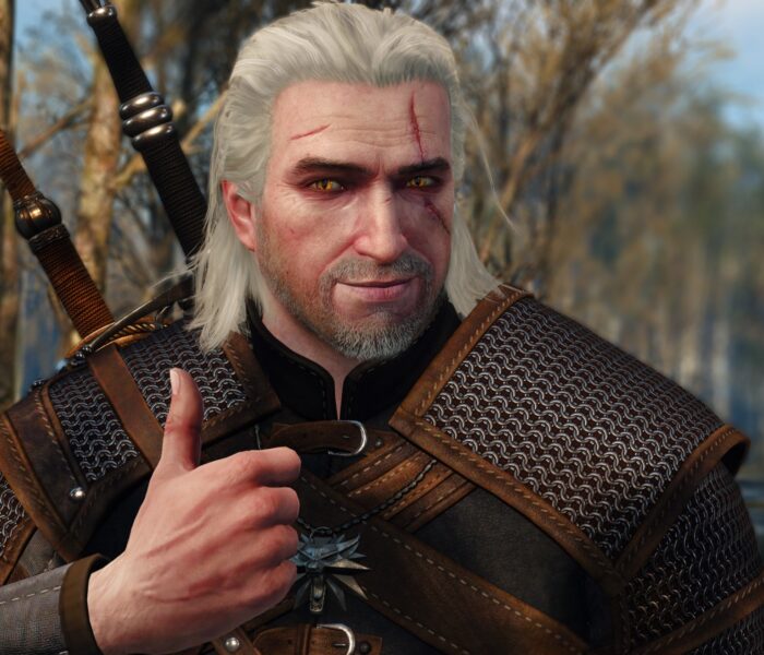 The Witcher